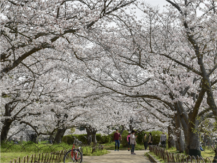 兵庫県立明石公園