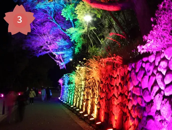 天空の虹・虹の灯桜