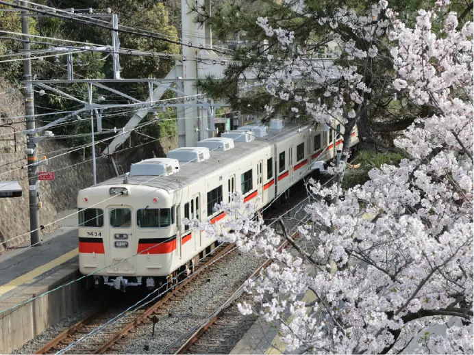 敦盛橋は山陽電車と桜の饗宴